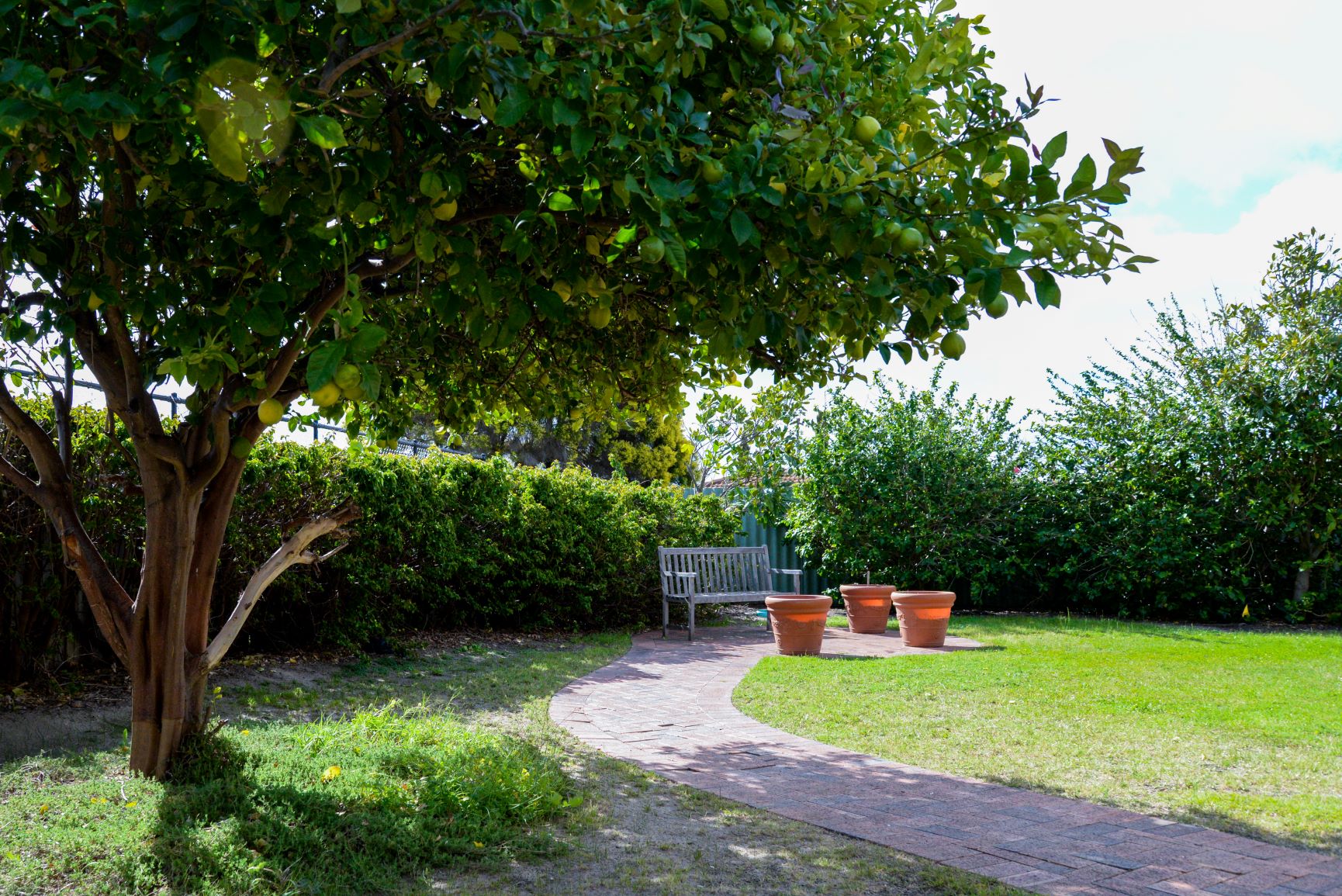 SHIFT-Acessible-Homes-Ivanhoe-2 Garden with green lawn and park bench